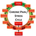 Stress and Pain