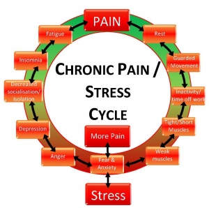 Stress and Pain