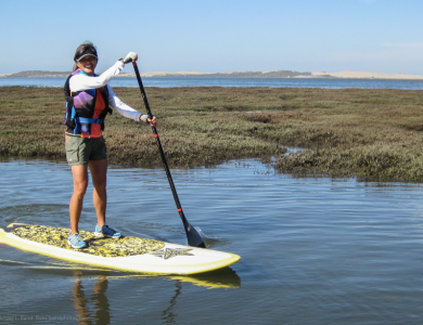 Paddle Board Clothing