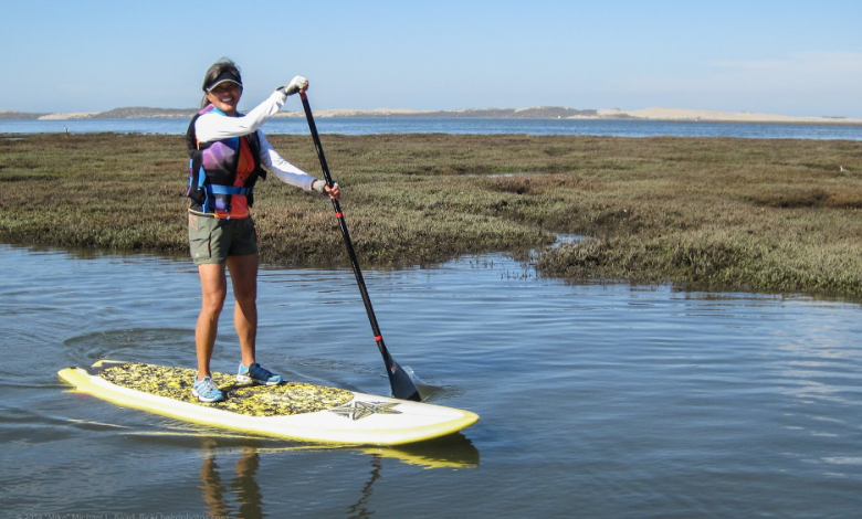 Paddle Board Clothing