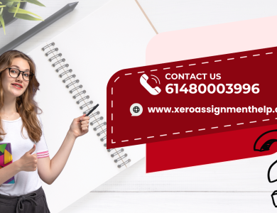 xero assignment help