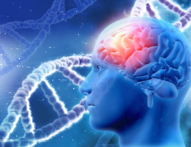 Stroke and Paralysis Treatment