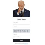 Bidencash Facilitates