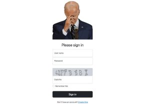 Bidencash Facilitates